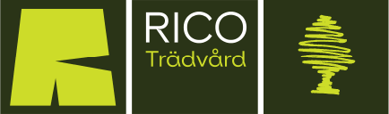 Rico Trädvård – Trädfällning och trädvård i Stockholm