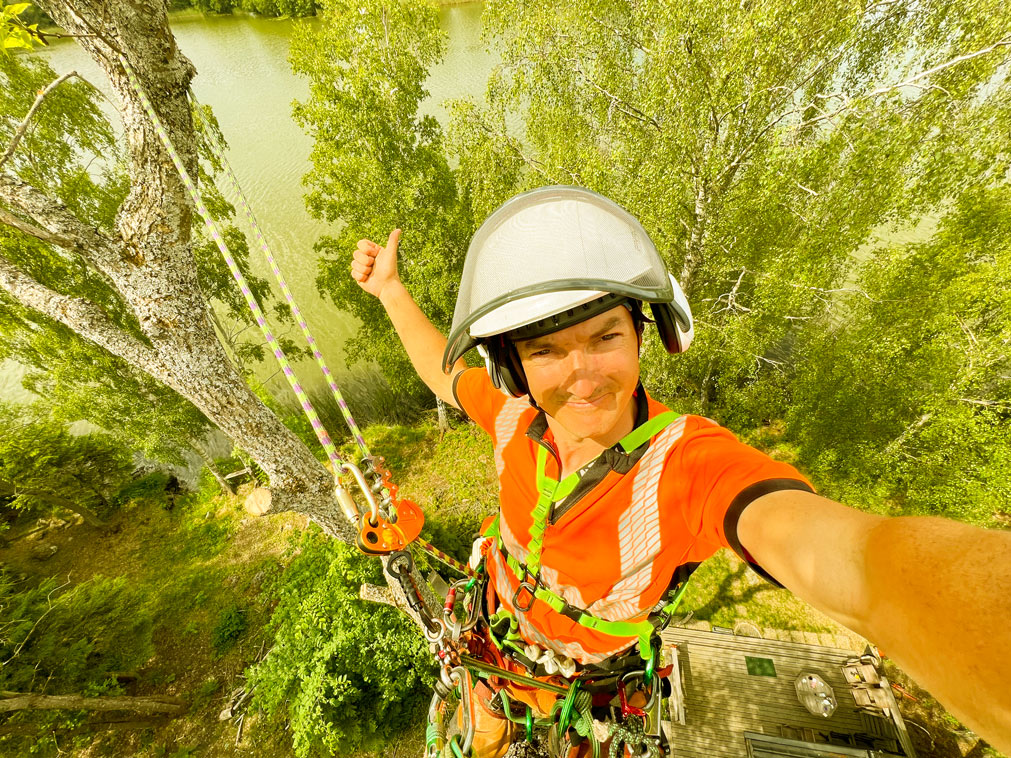 Professionellt trädarbete utfört av Rico Trädvård i Stockholm