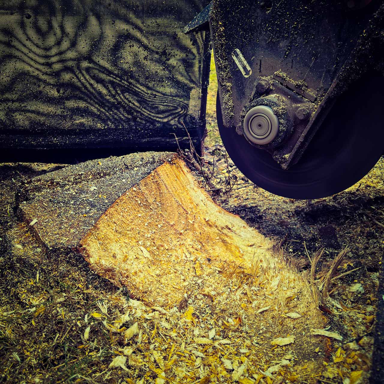 Stubbfräsning i Stockholm